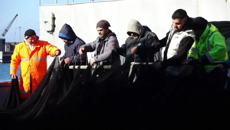 Hamsi Avında Müthiş Düşüş: Balıkçılar Erken Paydos Ediyor!