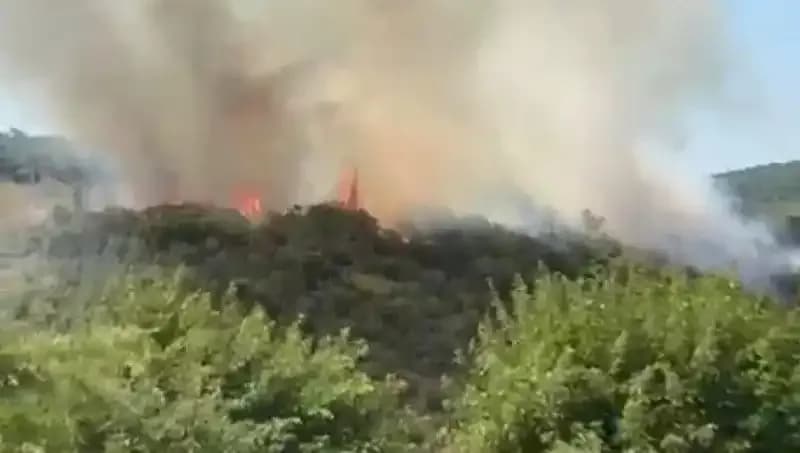 İstanbul'da Korkutan Orman Yangını: Vatandaşlar Tahliye Edildi