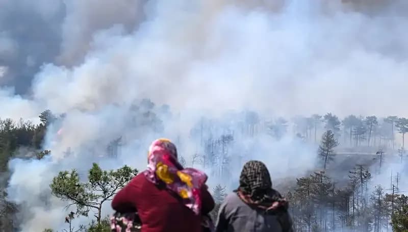 Bursa'da Yangınlar Kontrol Altına Alındı, Ancak Hava Kirliliği İniyor!
