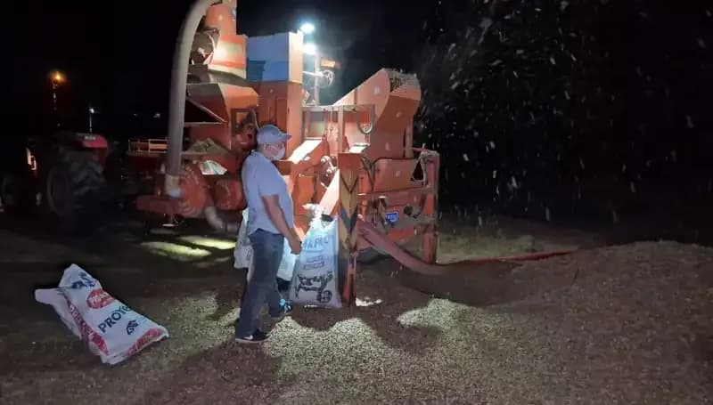 Hasat Mevsimi Sona Erdi, Tarımda Nöbet Süreci Başlıyor!