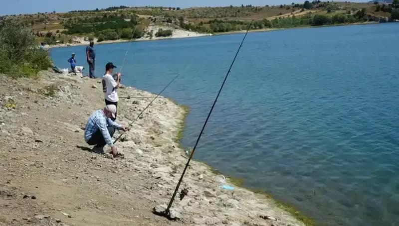 Kafesler Patladı: Baraj Gölü’nde Beklenmedik Şok ve Yoğun İlgi