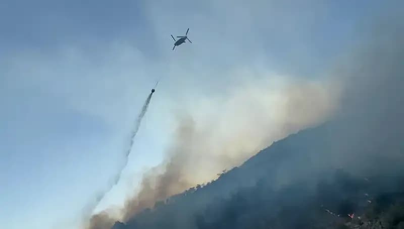 Söke’deki Orman Yangını Kontrol Altına Alındı: Son Durum ve Detaylar
