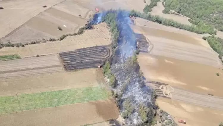 Adana Orman Yangını: Sıcak Havalar ve Hızlı Müdahale İhtiyaç Duyuruyor