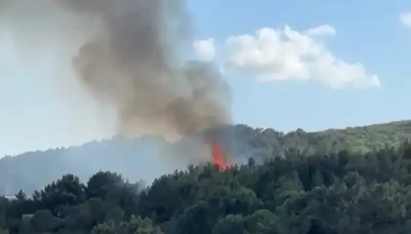 Aydos Ormanı'nda Yangın Kontrol Altına Alındı: Doğa Kendini Yeniliyor