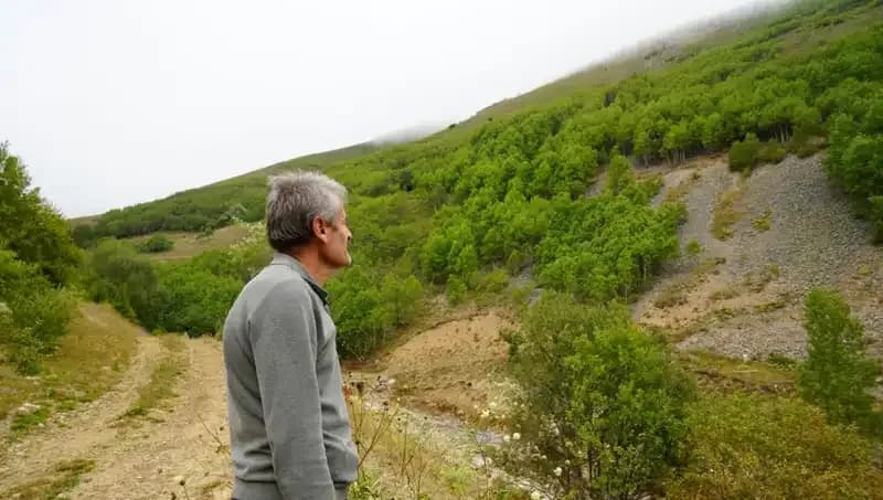 Emekli İmam, Gümüşhane'de 50 Bin Ağaç Dikti