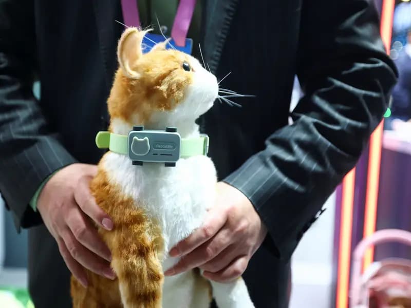 Evcil Hayvanlar İçin Akıllı Telefon: PetPhone Tanıtıldı