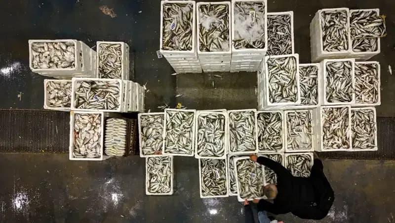 Denizlerde Yeni Dönem: Av Yasağı Uygulaması Başlıyor