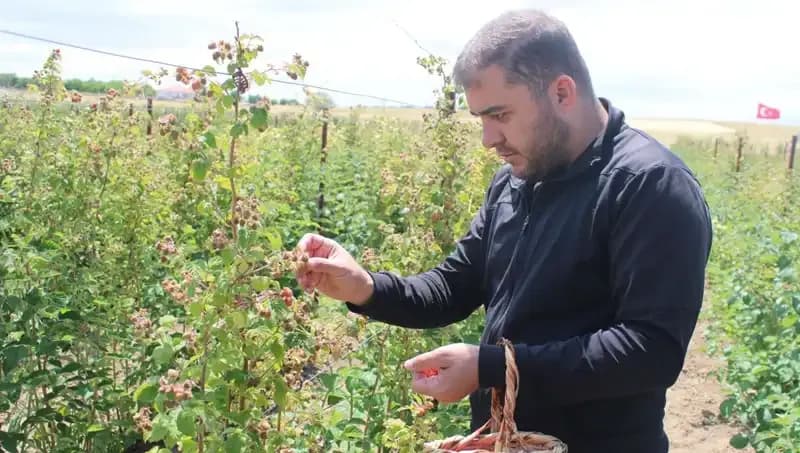 Hobi Olarak Başladı, Şimdi Talebe Yetişemiyor: Bir Başarı Hikayesi