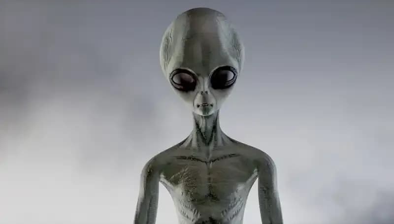 Pentagon'un Uzaylı Türleri Açıklaması: UFO Operatörleri Kimler?