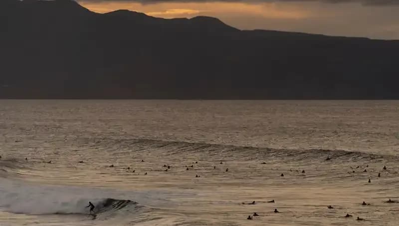Büyük Depremin Ardından Egzotik Yaratıkların Şaşırtıcı Keşfi