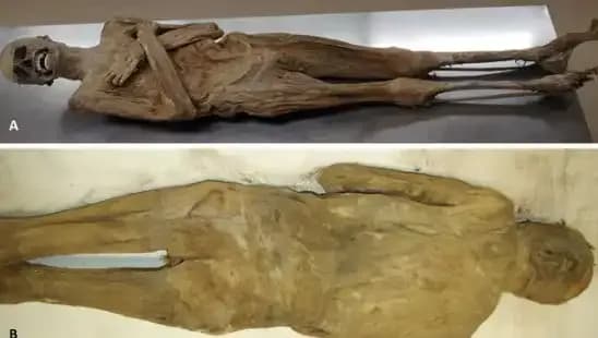 Kurutulmuş Papazın Mumyası: Eski Mısır'ın Sırlarını Aydınlatan Şok Edici Keşif