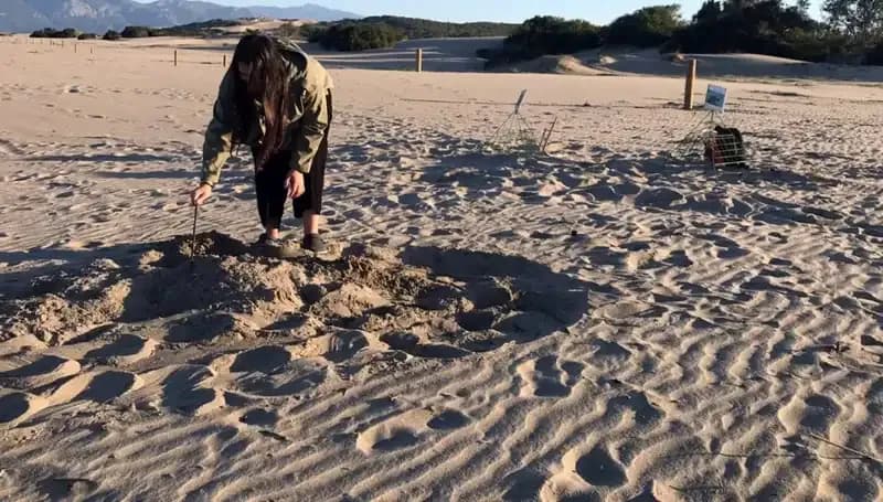 Bu Sahillere Girmek Yasak, Tehlikeli Cezası 557 Bin TL!