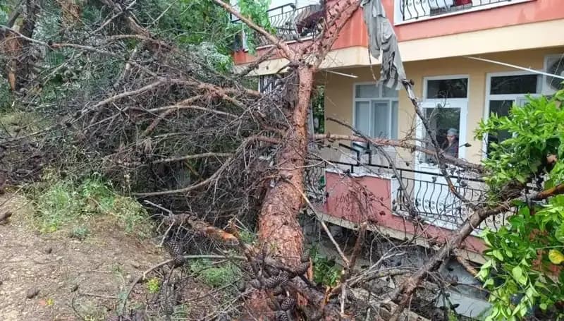 Yağmurun Pençesinde Zayıf Bina: Çatı Çöktü