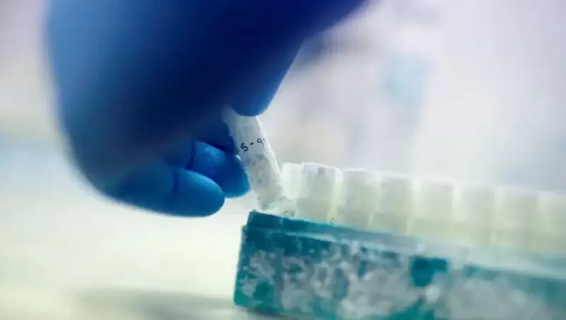 Tıbbi Felaket: Tek Donörle Büyüyen Binlerce Çocuk Hikayesi