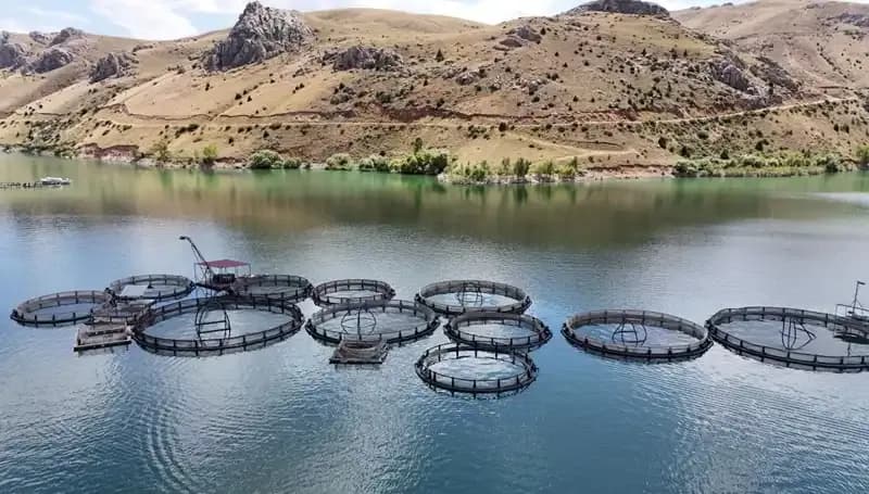 Deniz Olmadan Balıkçılıkta Zirveye Oynayan Bölge: 5 Bin Ton Hedefi