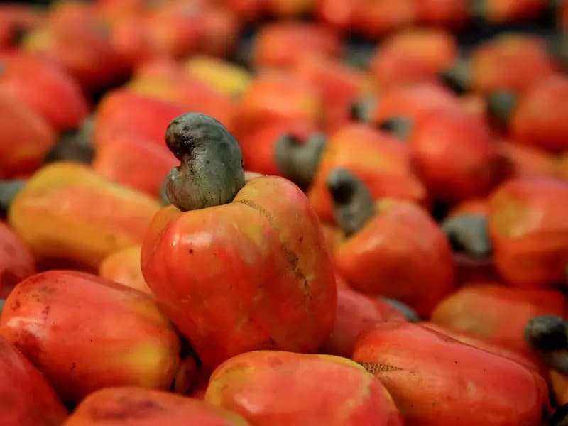 Beyin Sağlığını Korumanın Yolları: Uzman Tavsiyeleri