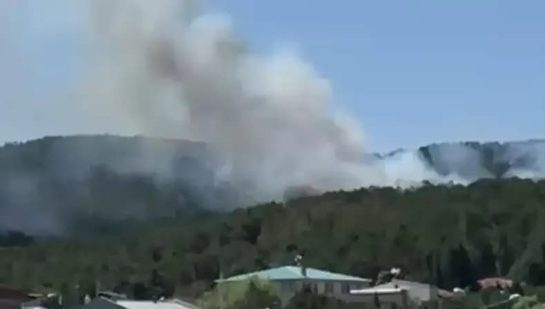 İstanbul Aydos Ormanı'nda alevlerle mücadele: Yangın kontrol altına alındı