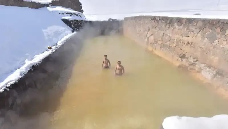 Şifa Arayanların Yeni Adresi: Romatizma ve Sinir Sistemi İçin Doğanın İkramı