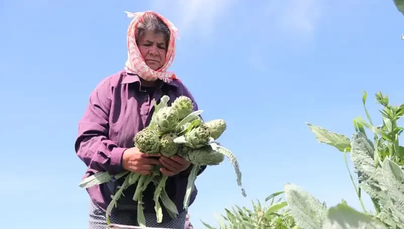 Tarladan Sofralara: Neden Tezgahta 50 TL’lik Ürünlerin Dönemi Başladı?