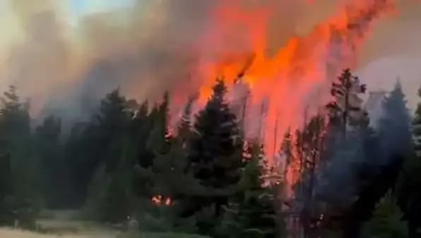 Çankırı'da Orman Yangını: Doğal Varlıklar İçin Zamanla Yarış Başlıyor