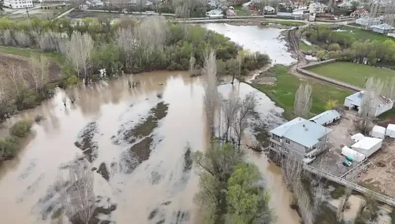 Ağrı'da Dere Taşması: Su Altında Kalan Evlerin Dramı