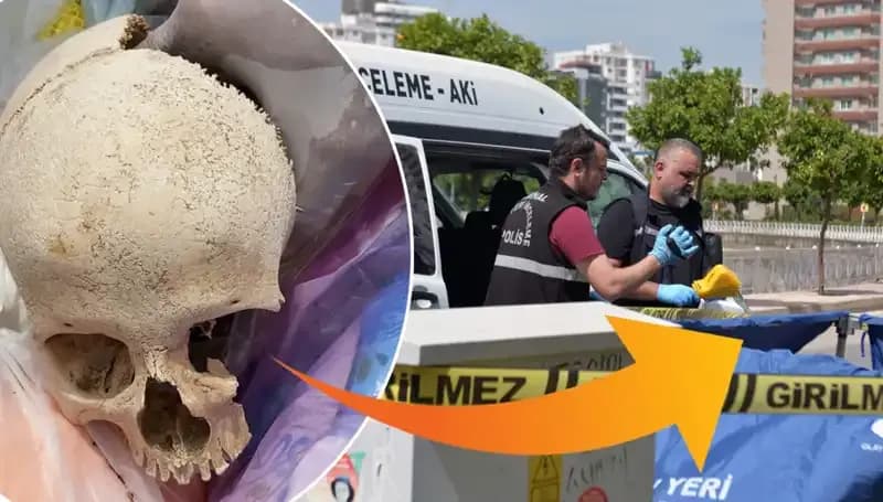 Sitenin Çöpünden Çıkan Kafatasının Gizemi: Uzman Doktor Gözaltında!