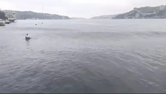 İstanbul'da 6,2 Büyüklüğündeki Deprem: Denizde Dalgalar Yükseldi