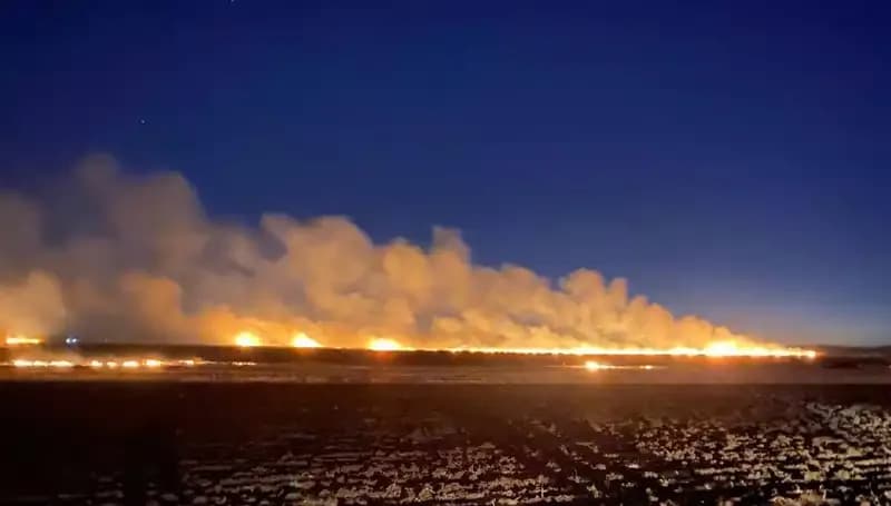 Korkunç Yangın: 60 Dönüm Tarım Arazisi Anız Yangınıyla Kül Oldu