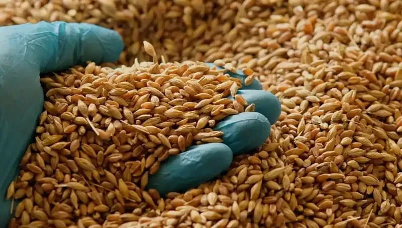 Kalp Hastalığı Riskini Azaltan Beslenme: Uzman Doktor Önerileri