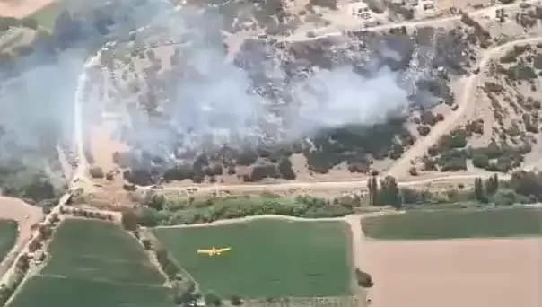 Milas’taki Yangın Kontrol Altına Alındı: Son Durum ve Detaylar