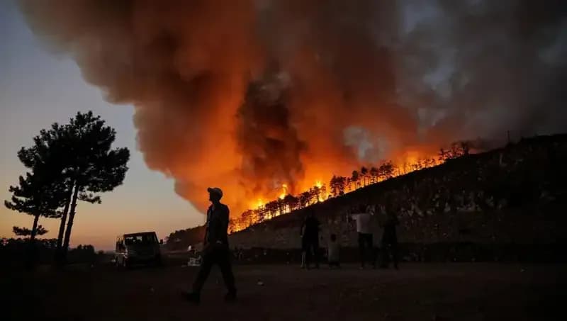 Bursa Orman Yangınları: 3 Bin Hektar Doğa Yok Oldu, Yeniden Canlanması 100 Yılı Bulacak