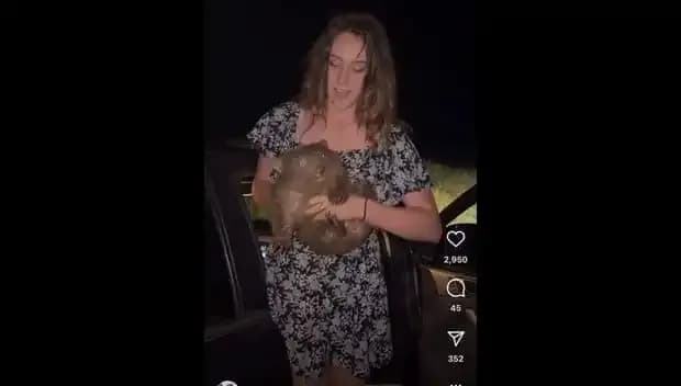 Yavru Hayvanı Anneden Ayıran Adamın Duygusal Anları Ülkeyi Sarstı