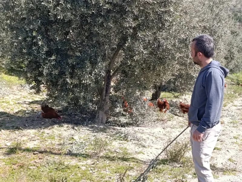 Artan Kiralar Yüzünden Köyüne Dönen Genç Girişimci