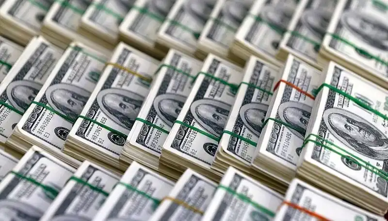 Doların Hızla Yükselişi: Ekonomistler Neler Diyor?