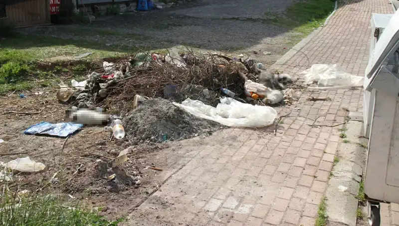 Antalya’da Şok Eden Olay: 10 Kedi Ölüsü Bulundu, İnceleme Başlatıldı