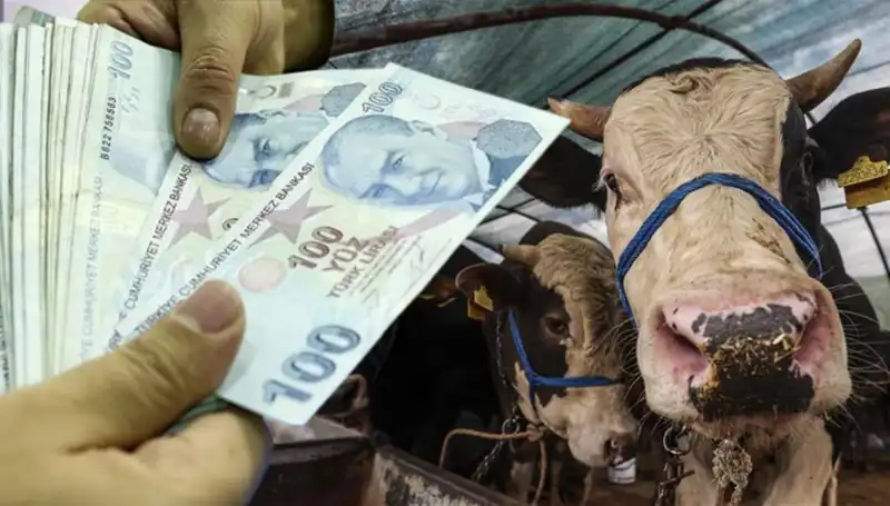 Emekli ve Memurların Bayram Maaşları Ne Zaman Yatacak?